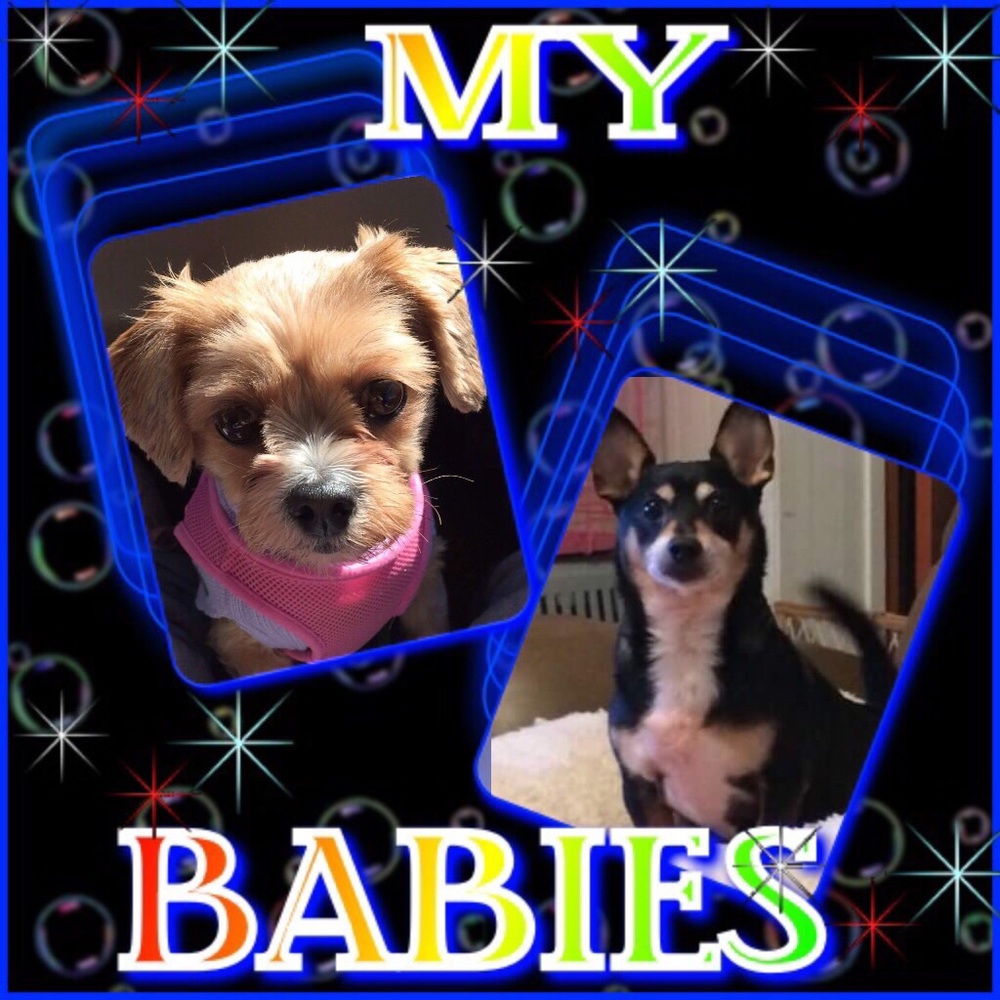 Meet your Posher, Baby